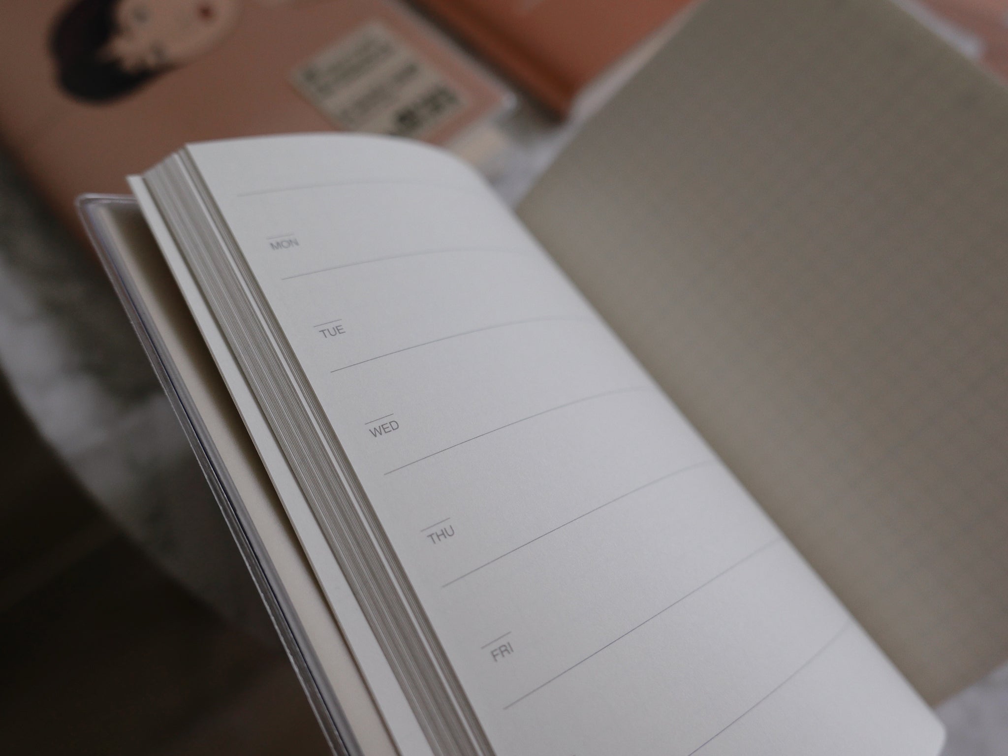 Schedule | Muji Beige Lady